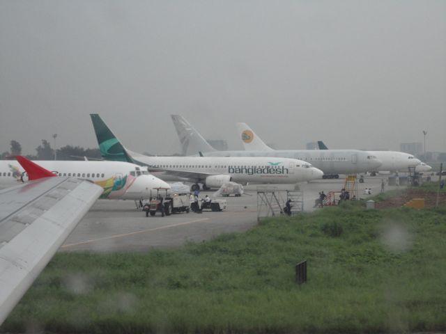 DSC01595.jpg